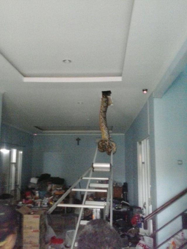 Подборка интересных и прикольных картинок