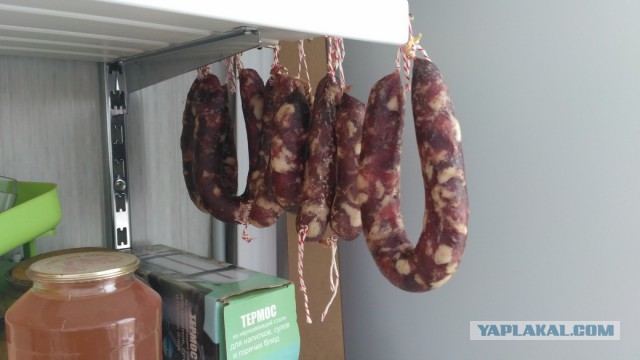 Сыровяленная свинина в условиях квартиры, для начинающих.
