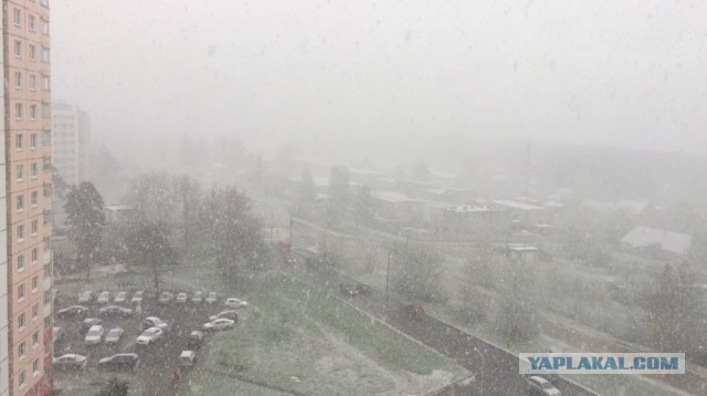 Хорошо в Питере в мае!