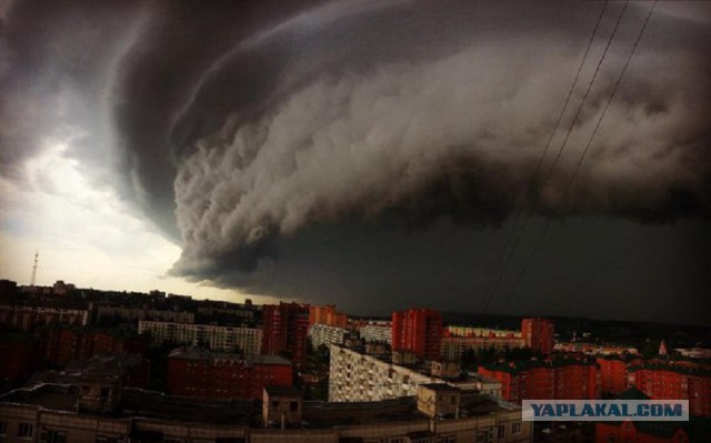 Невиданная хрень!