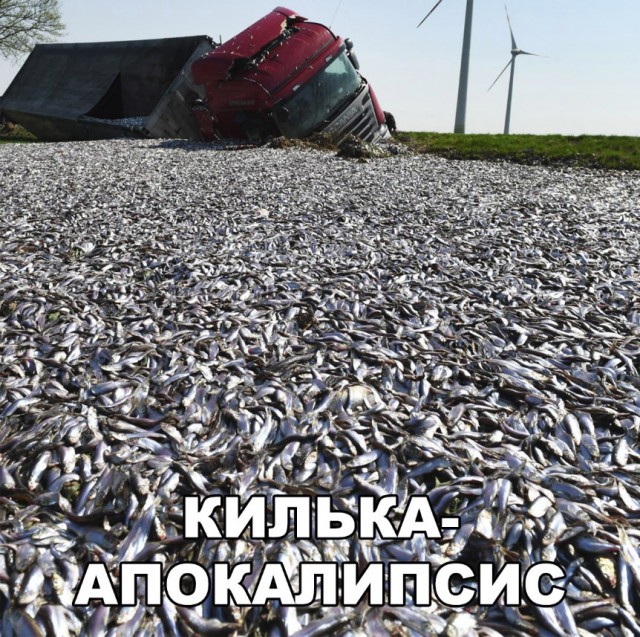 Нестандартный юмор