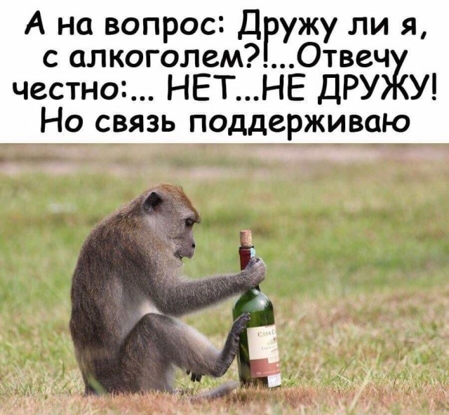 Небольшая субботняя алкоподборка