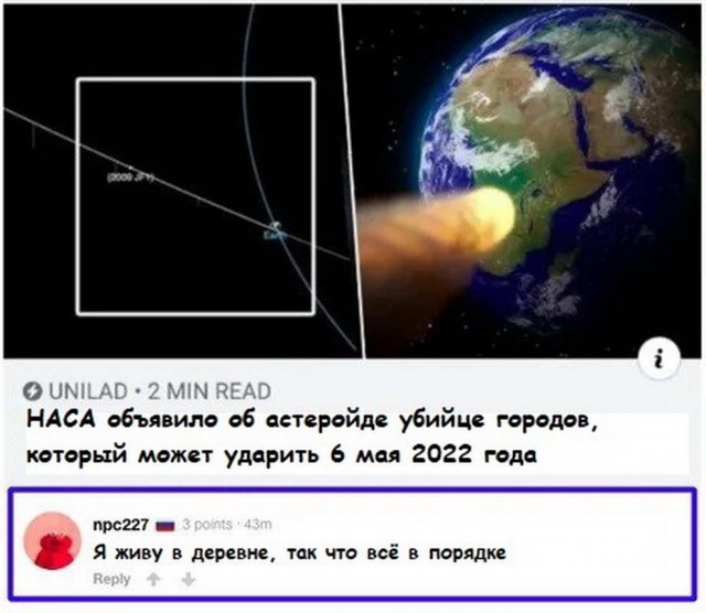 Бредзона из картинок