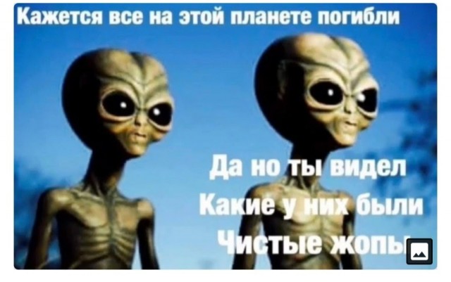 Когда паника граничит с маразмом: как не надо себя вести во время пандемии