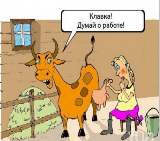 Немного картинок для настроения 04.05.20