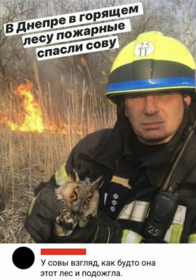 Бредзона 07.07.2020