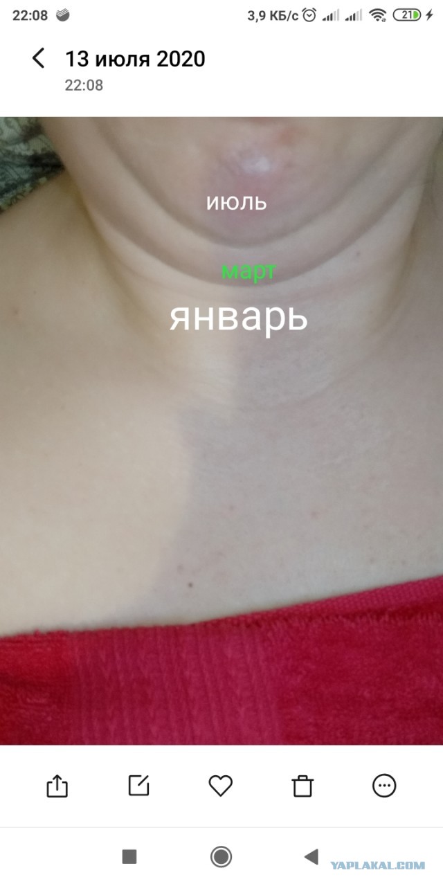 "Овуляшная демократия": как наши женщины выбирают будущее страны и должно ли у них быть на это право