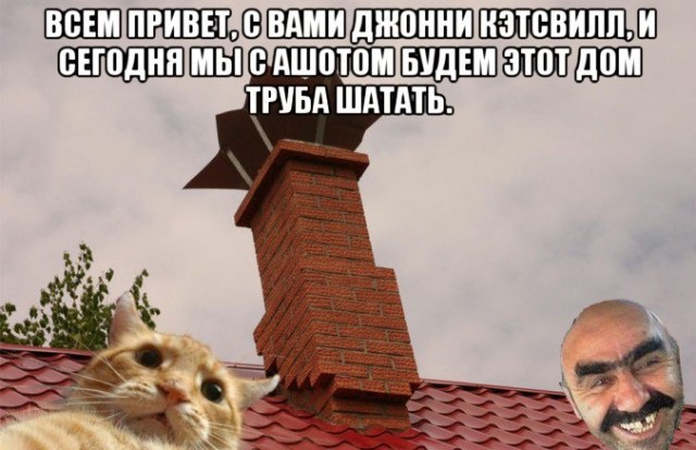 Приключения Джонни Кэтсвилла