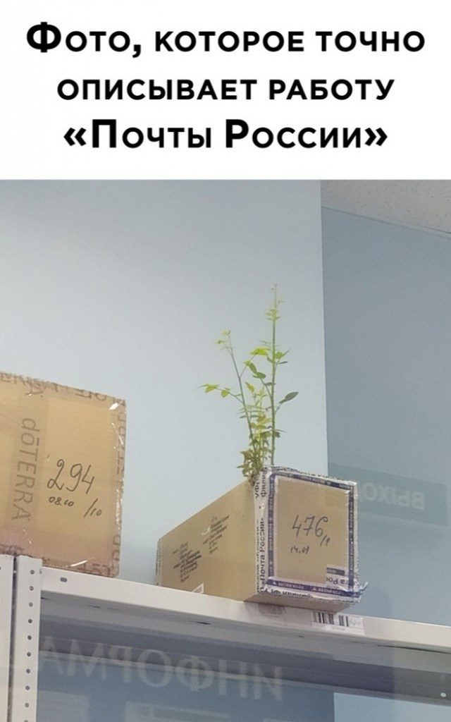 Отовсюду обо всём 11.10.20