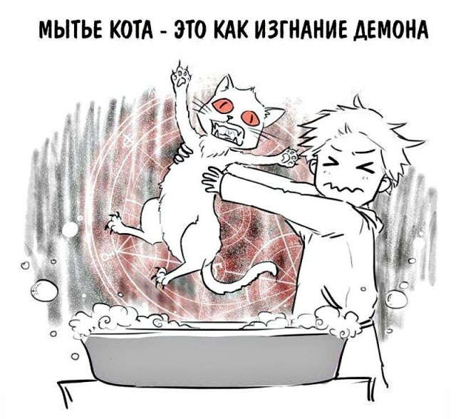 С котопятницей! Улыбнемся?
