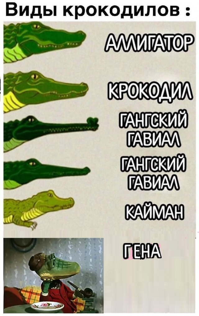 Картинки с надписями и всякие жизненные фразы 9.01.21