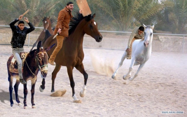 Фотожаба: Дискотека "Египет"