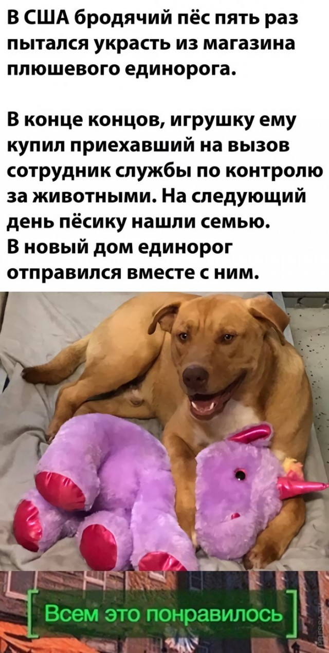 Картинки и мемы для настроения 30.03.2021