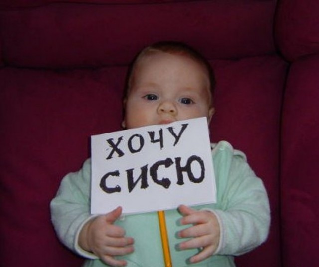«Лежат под кустом полуголые девушки, это наглость!»: Ботанический сад Петербурга ищет волонтеров для защиты от эросъемок у сакур