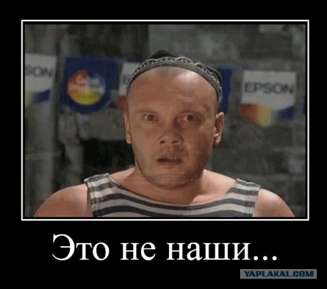 Роскомнадзор проверит Премию Муз-ТВ на ЛГБТ-пропаганду