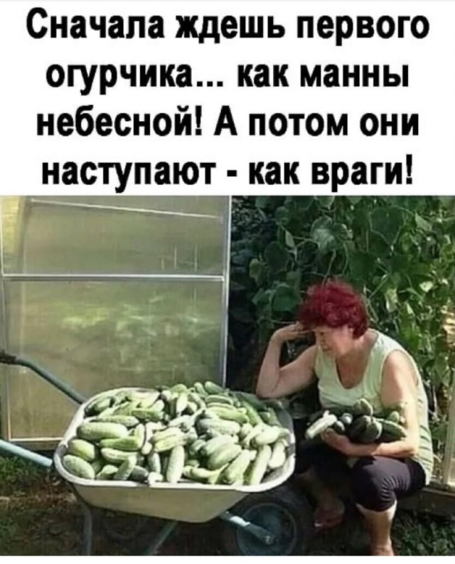 Картинки на вчера