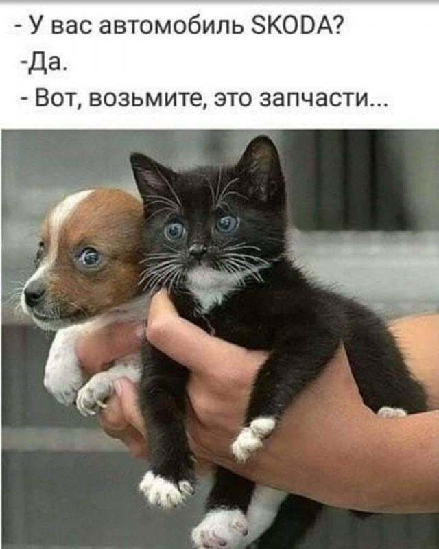 Так себе картинки 30.10.21