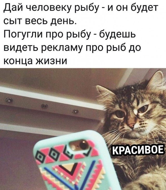 Рыбов, показываю. Красивое
