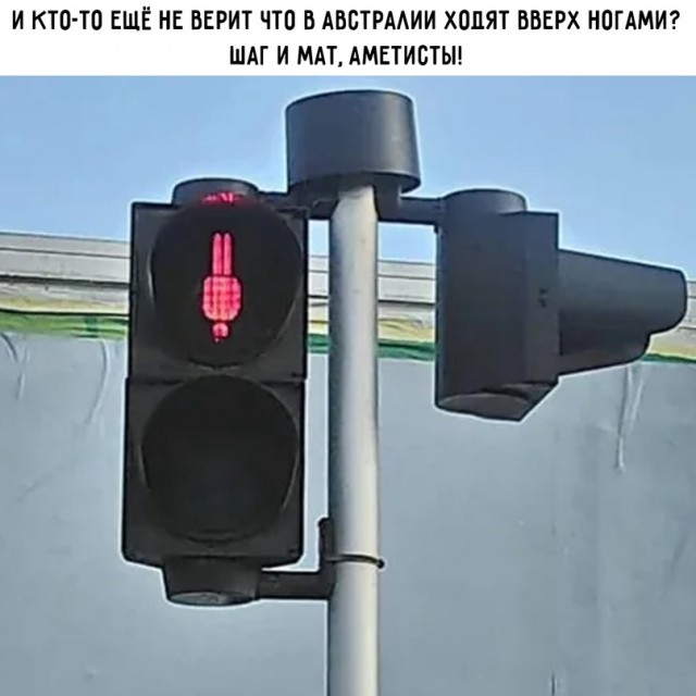 Картинки и мемы для настроения 02.02.2022