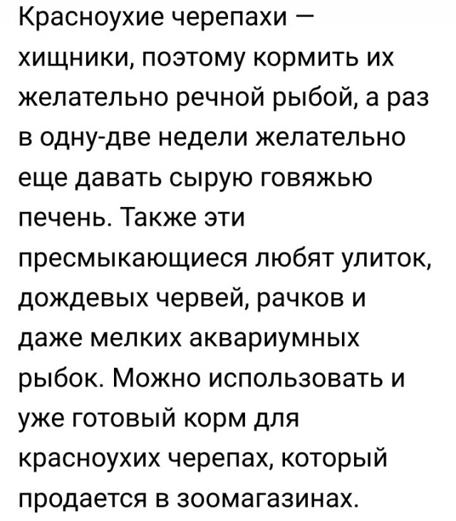 Какого бренда одежду вы покупаете?