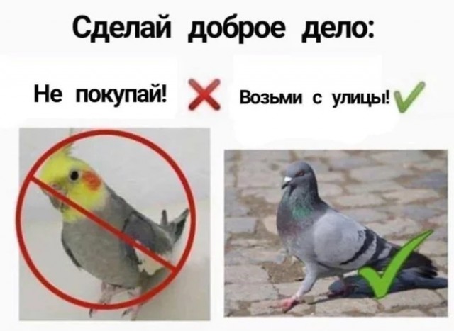 Всяких картинок не для всех пост