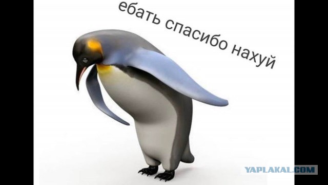 Российские разработчики разрешили скачивать свою игру на торрентах