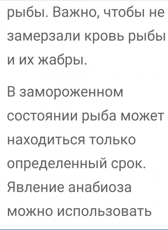 Как зимуют щуки в северных реках