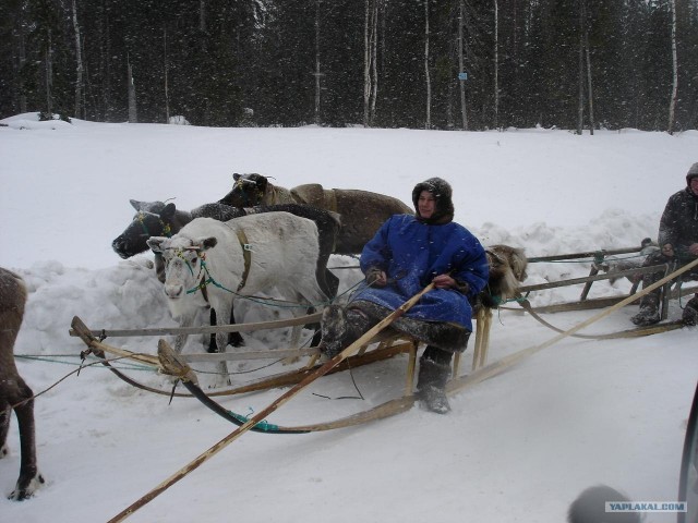 встреча на дороге