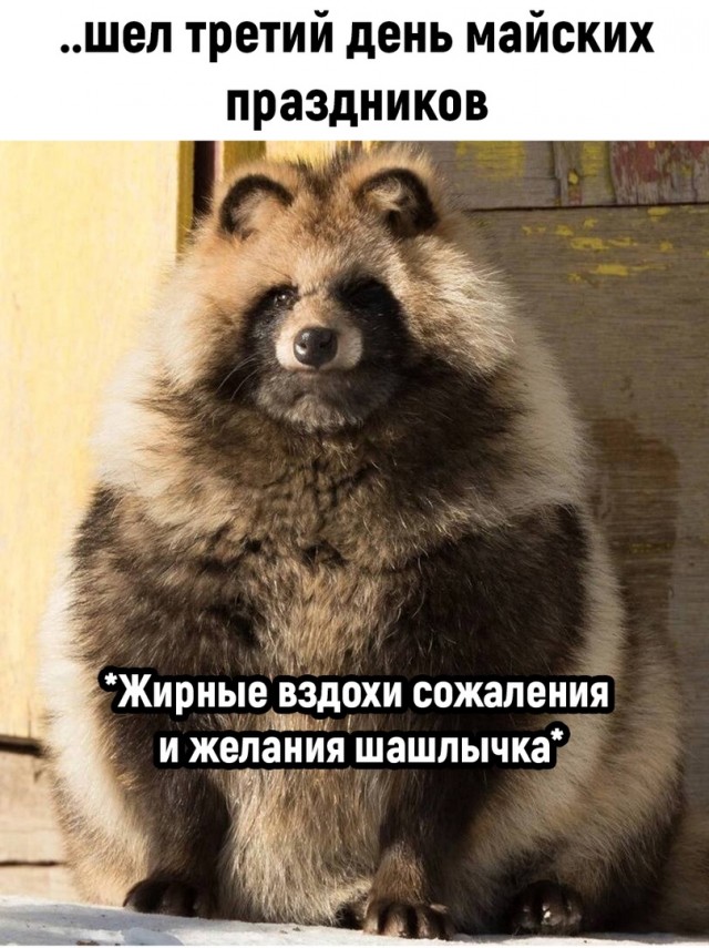 Так себе картинки 03.05.22