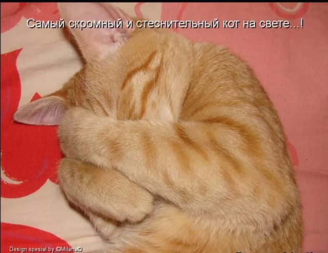 Пандемия. Коронавирус и съехавшие крыши. Россия и мир. Часть 35