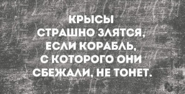 Весёлый полтишок 15.07.22