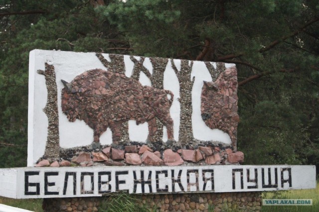 Тур по западной части Беларуси.