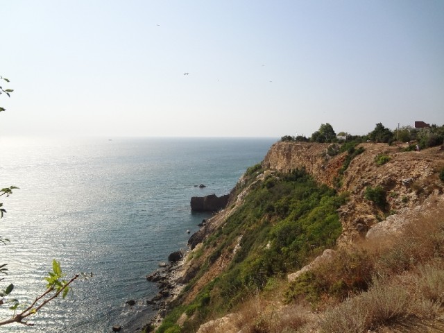 Впервые в Крыму