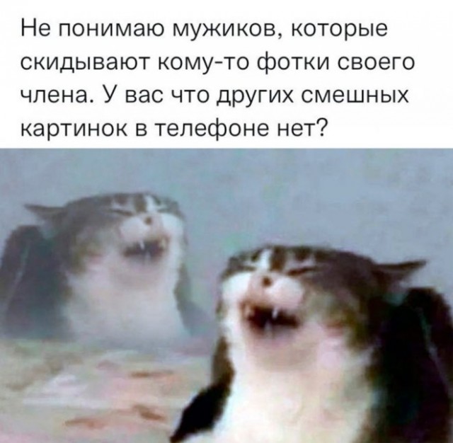 Картинки и мемы для настроения - 119