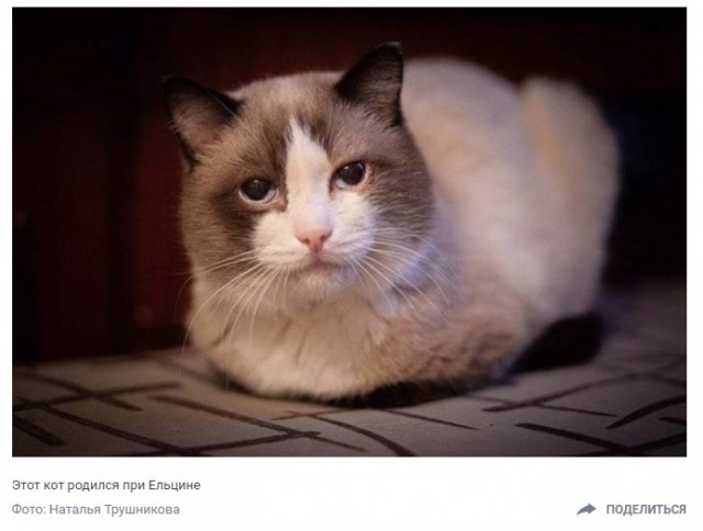 Все вчерашние заявления, которые будут годами "Читать и изучать"