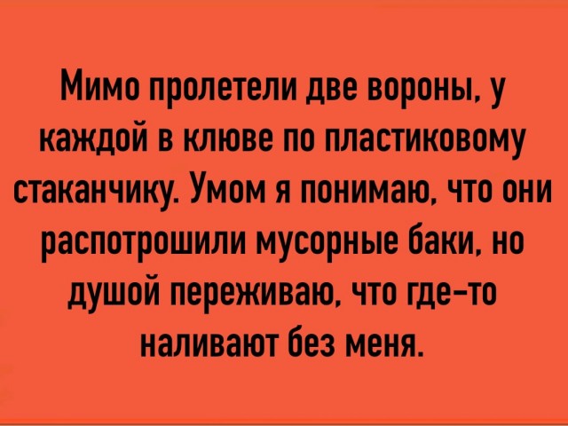 Так себе картинки 17.12.22