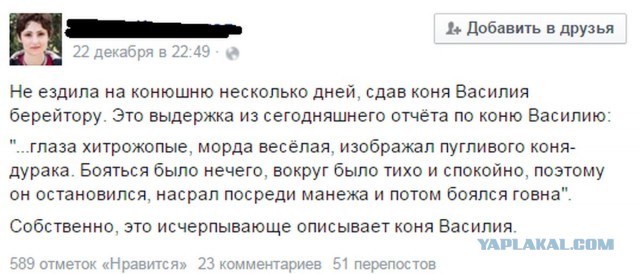 Собака - дуракаваляка