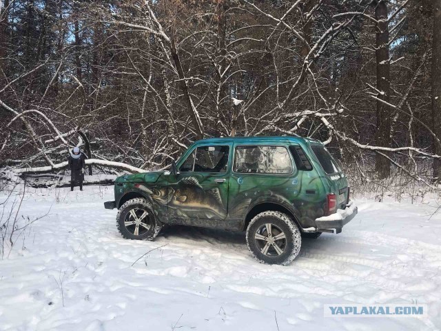 Нивасик