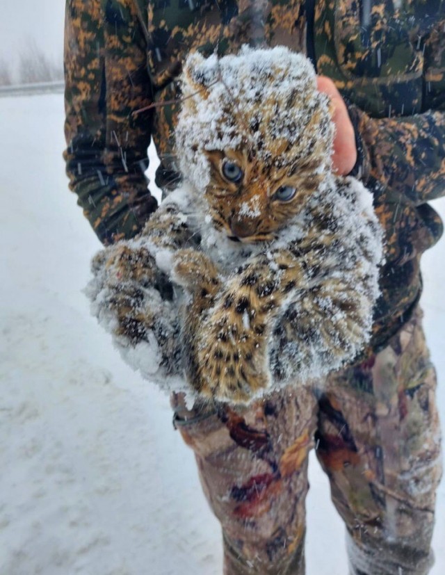 Меркантильные женщины