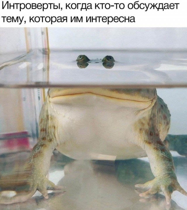 Картинки на пятницу