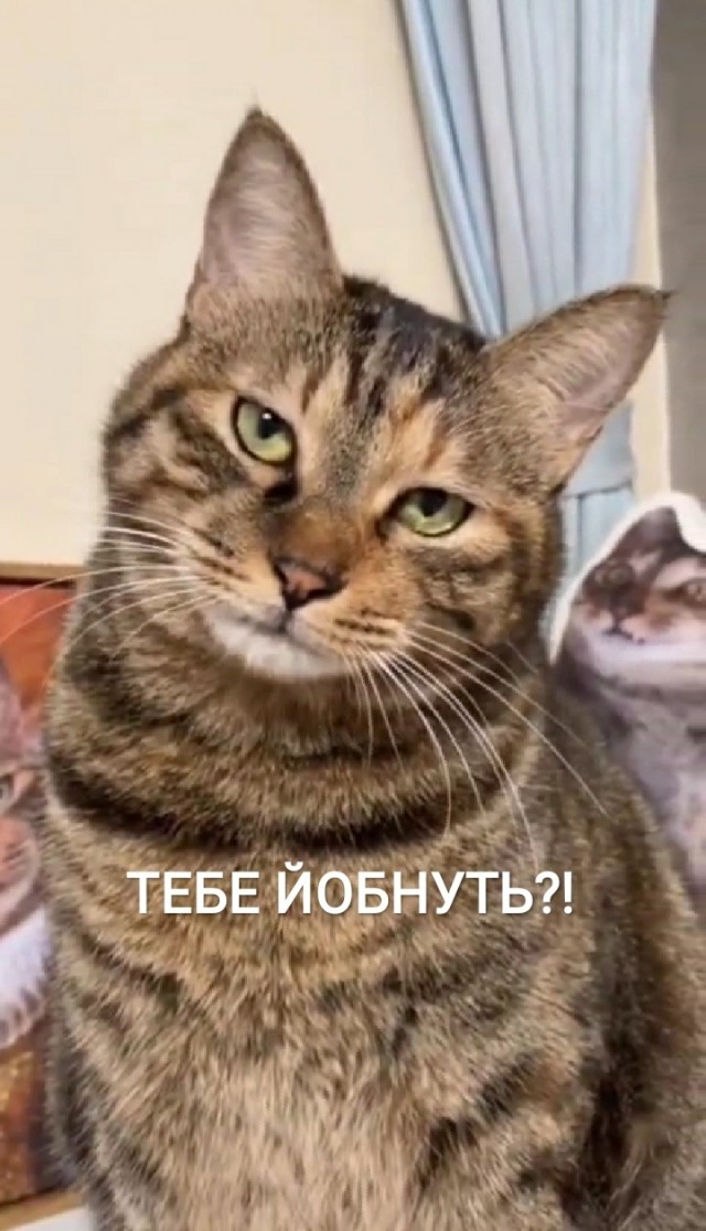 Минутка юмора на Япе