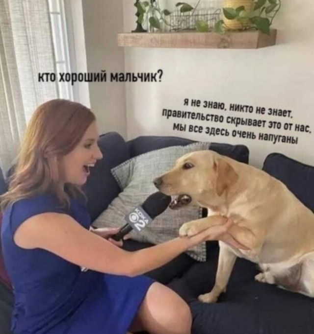 Чернуха на среду! Из закромов!