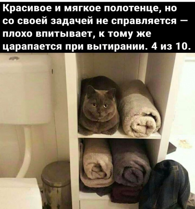 Немного картинок для настроения 07.03.2023