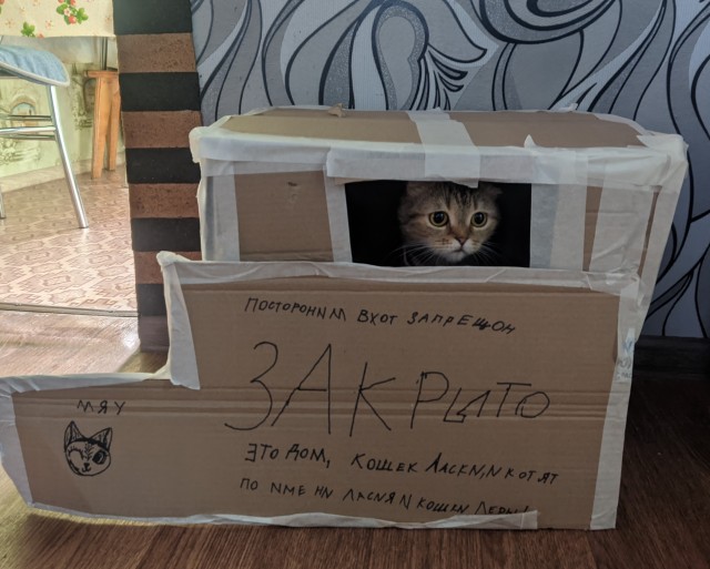 Котовторнику посвящается!