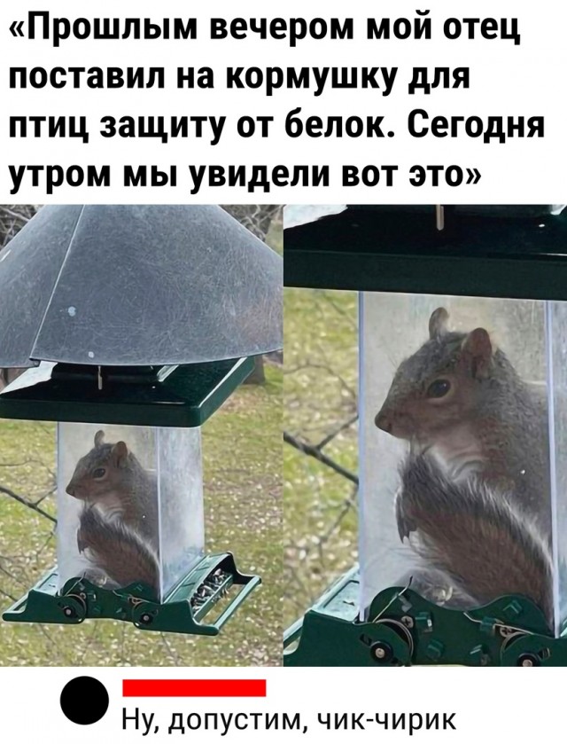 Так себе картинки 24.04.23