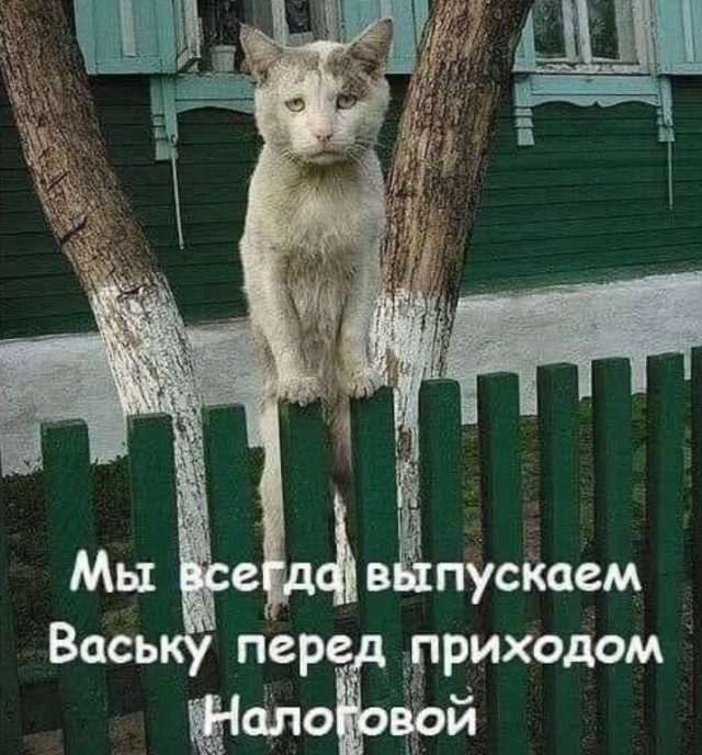 Девятая подборка самых баянистых баянов! Ностальгируем...