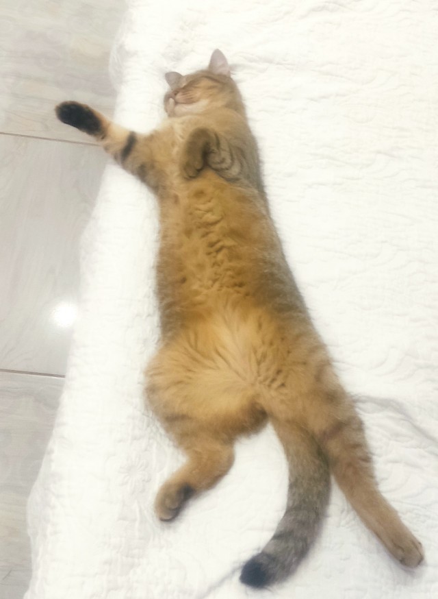 Вот вам