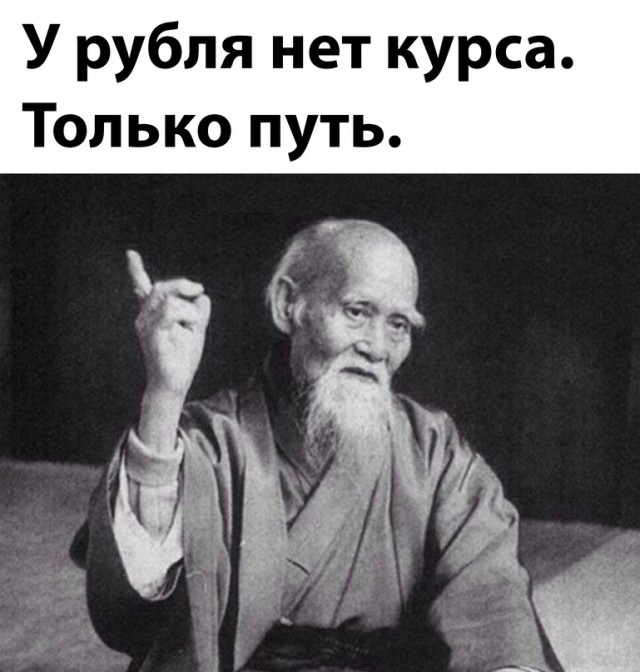 Весёлый полтишок 11.08.23