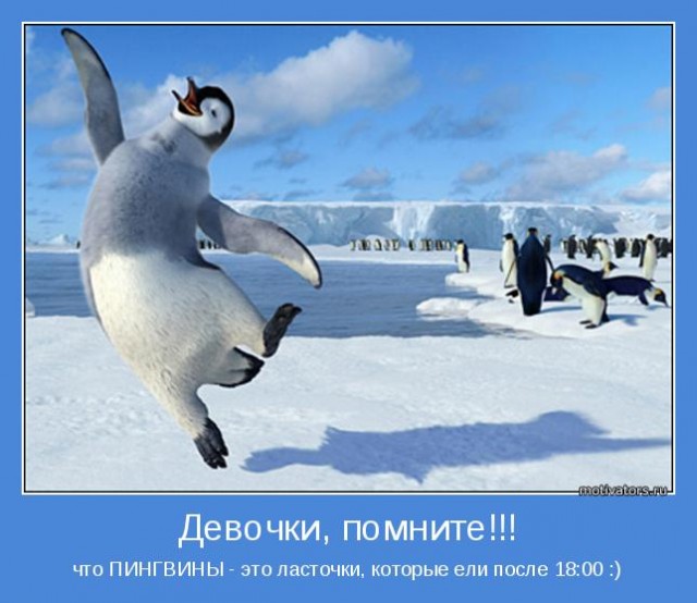 Еда - праздник, который всегда с тобой!