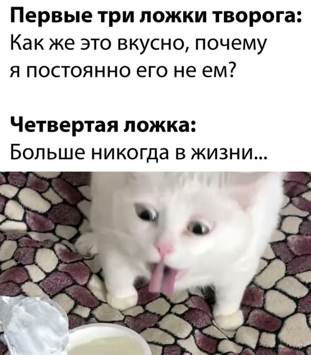 Весёлый полтишок 15.10.23